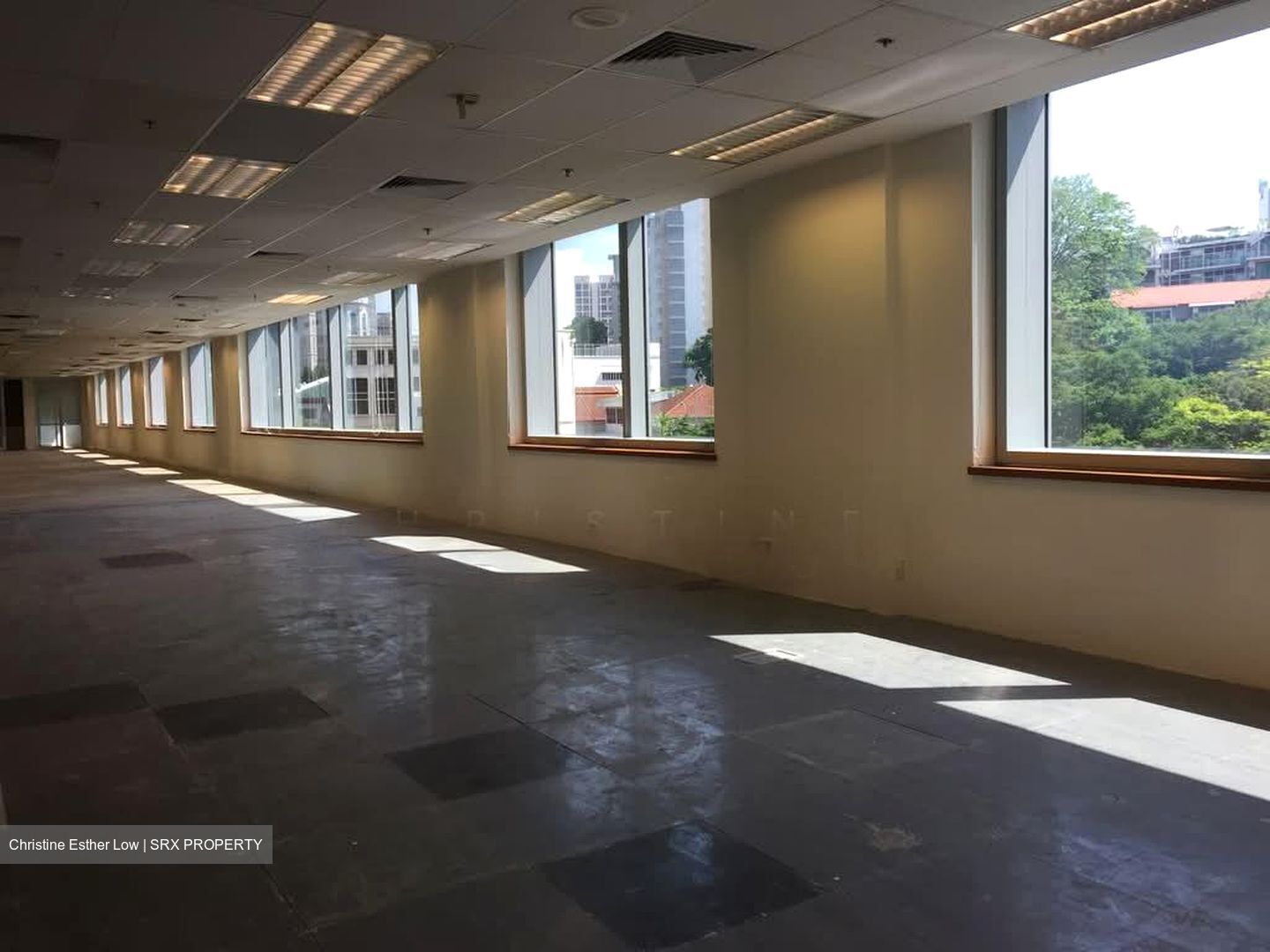 The Luxe (D9), Office #570035441